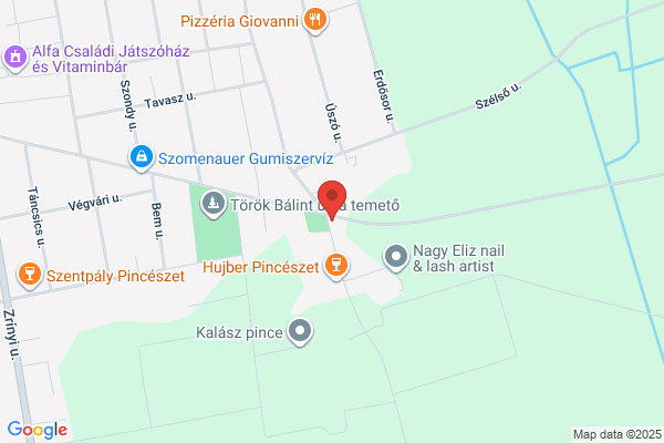 Balatoni Hal. Rt. Hajóáll. És Kik.