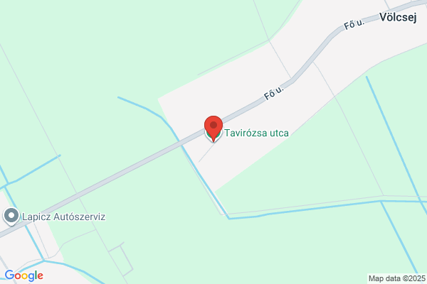 Tavirózsa