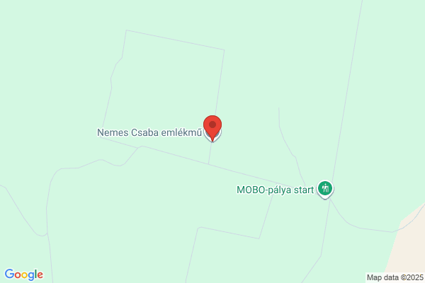 Nemes-Nagel Emlékszoba