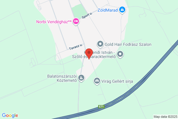N és P Temetkezési Kft.