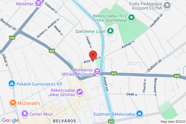 Megyei Könyvtár