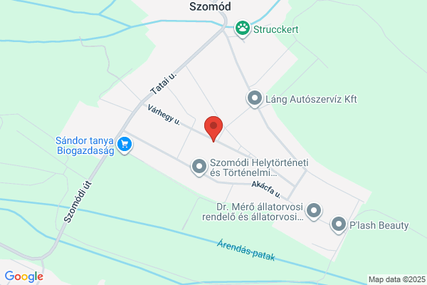Schneider Gábor asztalosmester