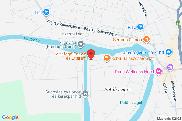 Vizafogó