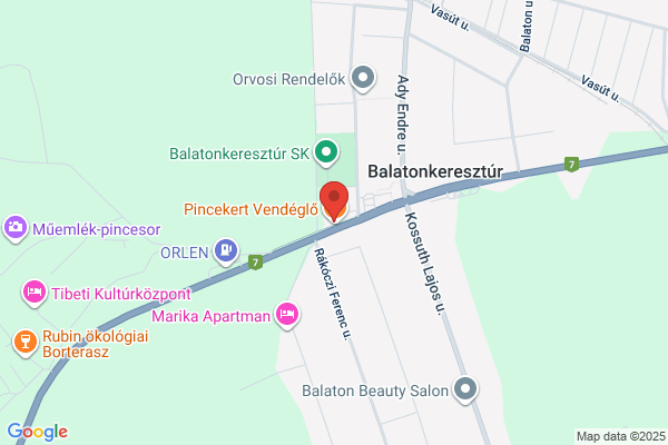 Gyógyszertár Turul