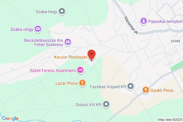 Koczor Borpanzió