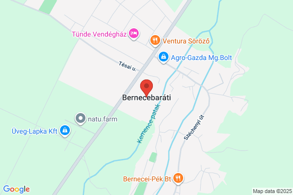 Várnai Zseni Általános Iskola