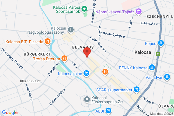 Viski Károly Múzeuma