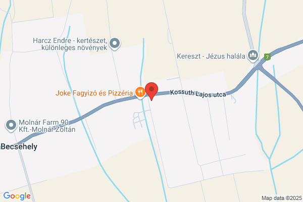 Borostyán Patika