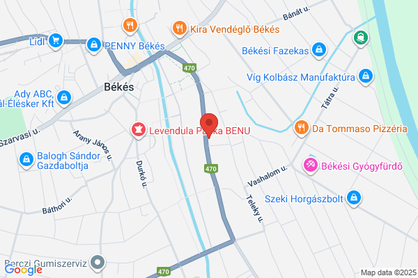 Szegedi Kis István Ref. Gimnázium