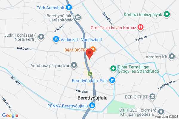 Otp Bank