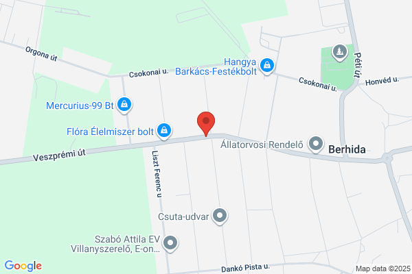 Közkönyvtár