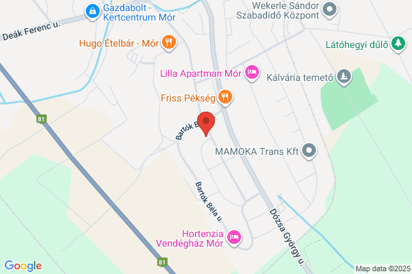 Dr. Németh Kálmán Állatorvos kiszállással, házhoz is megy, mikrochip beültetés