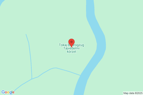 Tokaj És Vidéke Takarékszövetkezet