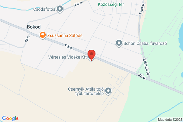 Bokod És Vidéke Takarékszövetkezet