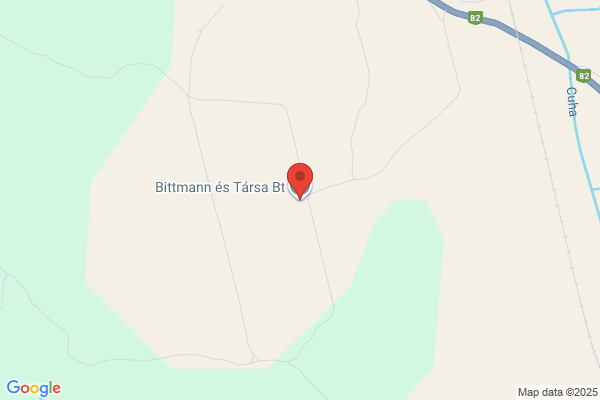 Bittmann Bt.