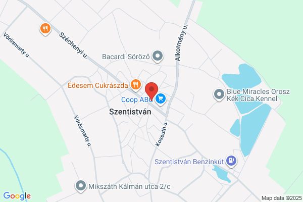 Szent István Király Ált. Iskola
