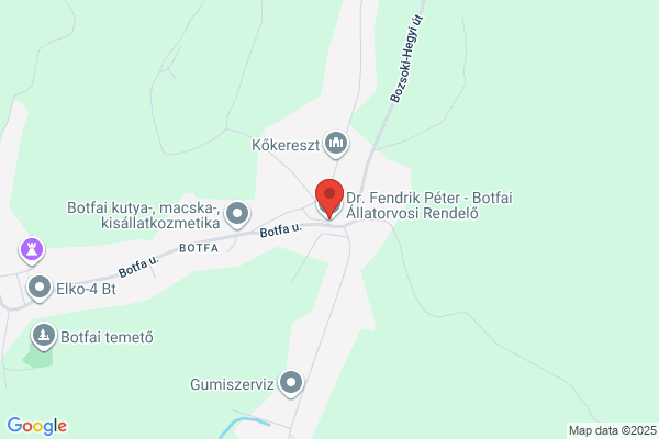 Dr. Fendrik Péter - Botfai Állatorvosi Rendelő
