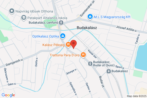 Állatorvos Kiszállással-Állatorvosi Rendelő Dr. Szmollény Gábor