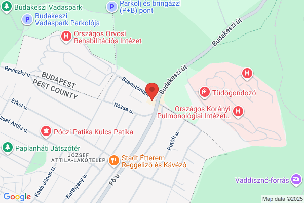Pest M. Ö Tüdőgyógyint., Tüdőgond.