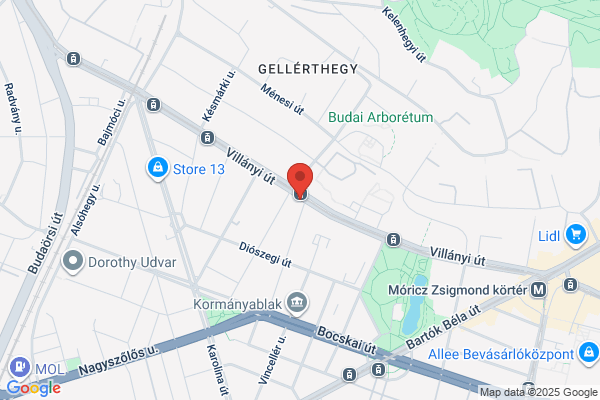 Vadvirág Kisvendéglő