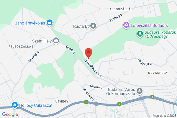 Örökzöld Park- és Kertépítő Ker. és Szolg. Kft.