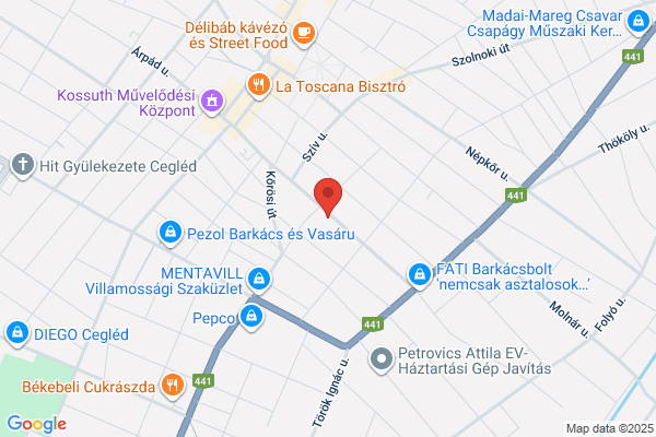 Nesztor-Cegled