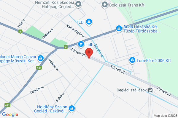 Toldy Ferenc Kh És Ri Tüdőgond. I.