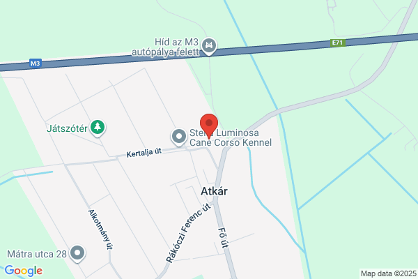 Robogók