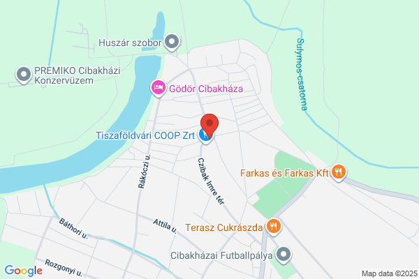 Otp Bank