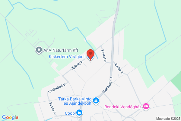 Dégi Temetkezés és Virágbolt