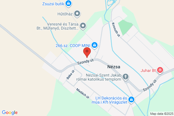 Janza Gyógyszertár