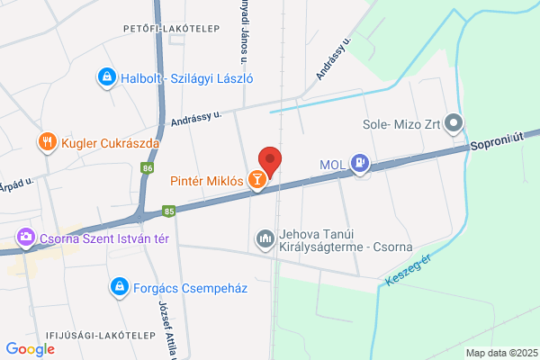 Suzuki Molnár Autóház