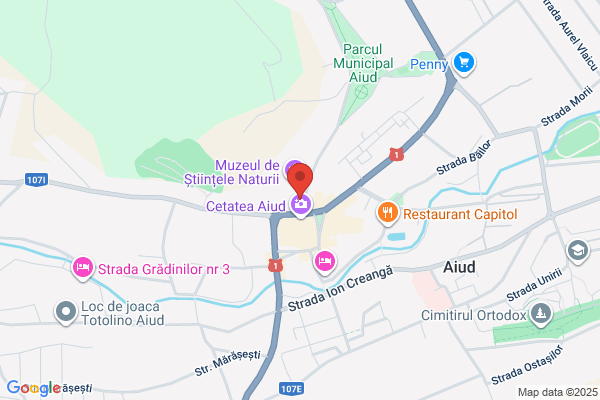 Bethlen Gábor Közl. És Kg. Szakk.