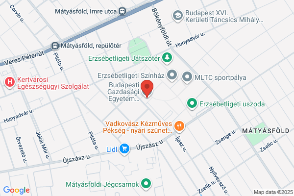Bgf Külkereskedelmi Főiskolai Kar