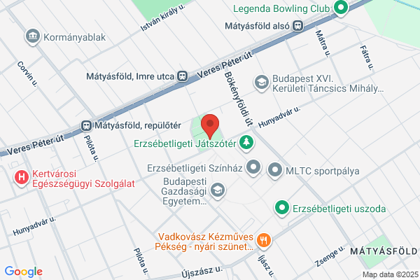 Corvin Mátyás Gimnázium