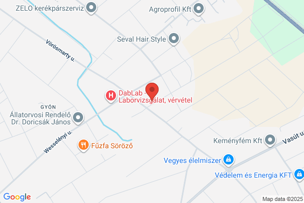 Gyollai és Társa Könyvelő Bt.
