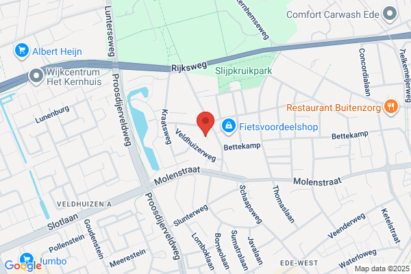 Ede Autóvillamosság, Autódiagnosztika
