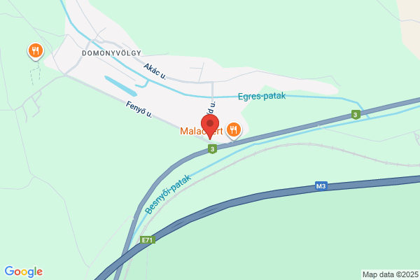 Domonyvölgyi Tüzép