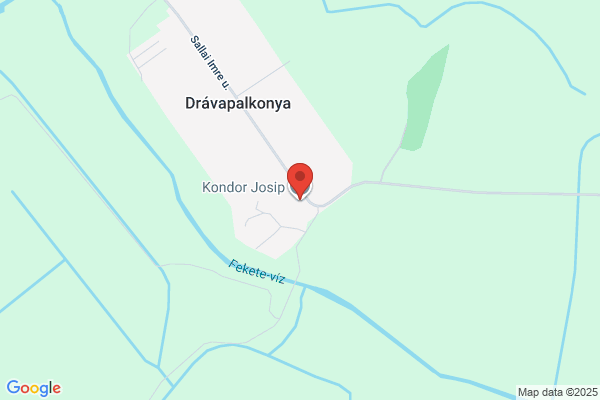 Kondor Josip