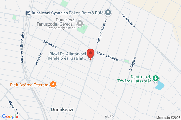 Állatorvos Kiszállással-Állatorvosi Rendelő Dr. Szmollény Gábor