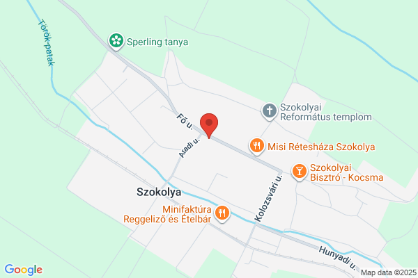 Gyógyforrás Gyógyszertár