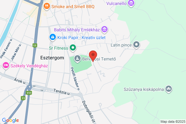 Gyer.Pszichiátriai J.Beteg-Szakell.