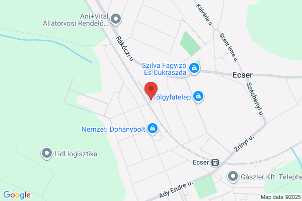 Műterem Ház