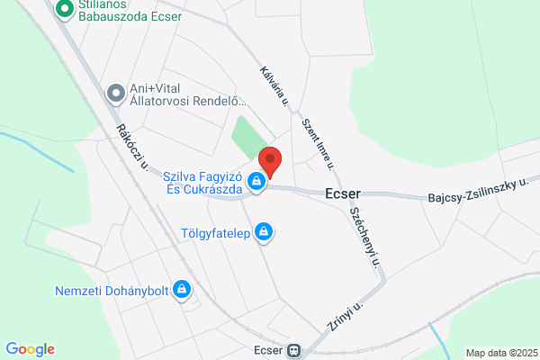 Szt Erzsébet Kat. Általános Iskola