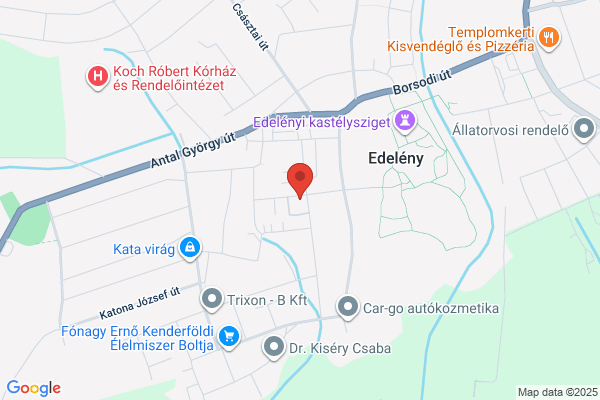Egészségügyi Intézmény