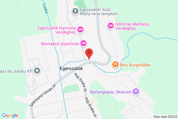 Egészségügyi Szolgálat