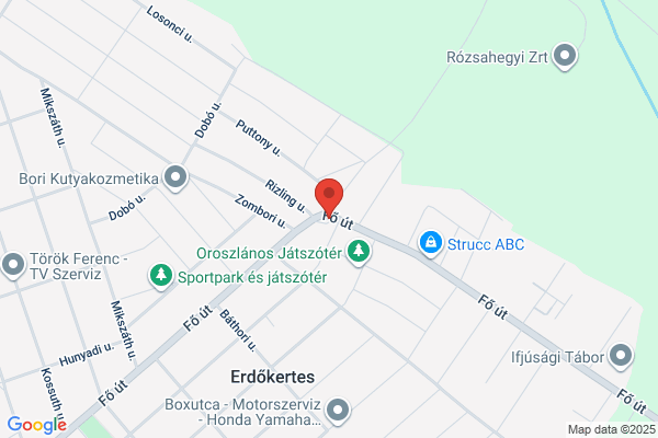 Borostyán Vendéglő