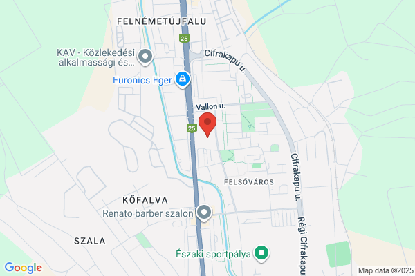 Neumann János Gimnázium, Technikum és Kollégium
