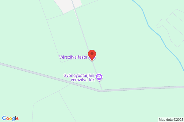 Szegvár És Vidéke Takarékszöv.