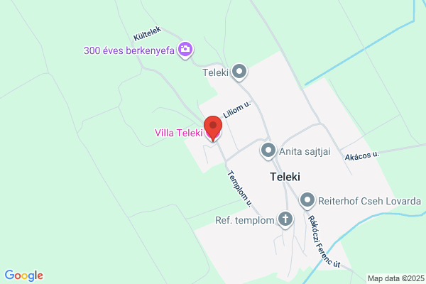 Hotel Termál